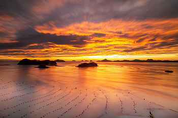 Sunset Serenity Embracing The Beauty Of A Calm, sunset, nature HD wallpaper