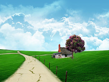 peacefuL, house, colors, grass, tree, way, clouds, nature, flowers, sky HD wallpaper