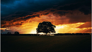 When the sky turns dark - Old Linslade, England, clouds, colors, uk, sky, tree HD wallpaper