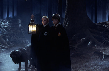 Draco Malfoy, Harry Potter, Movie, Harry Potter And The Chamber Of Secrets, Daniel Radcliffe, Tom Felton HD wallpaper