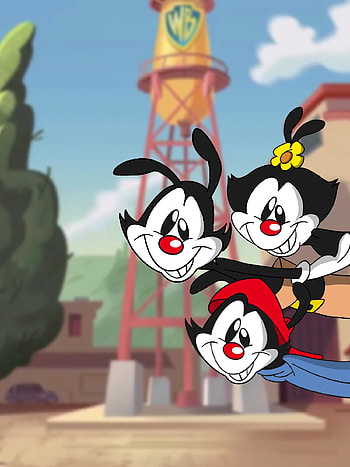 for Animaniacs fans, Personalized background, Ranimaniacs creation HD phone wallpaper