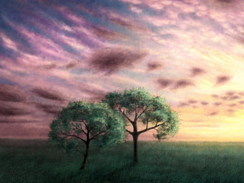 Two tree in nature, trees, nature HD wallpaper