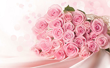 Rose bouquet , Top , Book your 1 source, and HD wallpaper