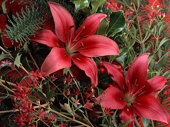 Flowers, Lilies, Bouquet HD wallpaper