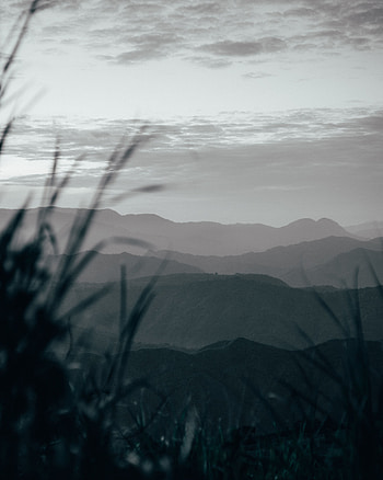 Landscape, Nature, Grass, Mountains, Fog, Hills HD phone wallpaper