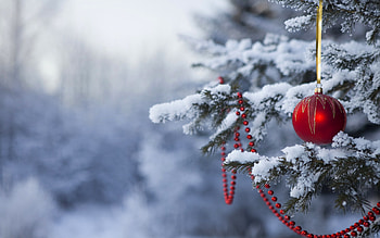 christmas winter - www.-in-.com HD wallpaper