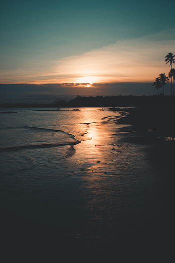 Sunset, Twilight, Beach, Dark, Coast, Dusk HD phone wallpaper
