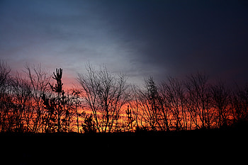 Sunset, dark sky, trees HD wallpaper