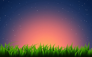 Grass, Stars, Vector, Horizon, Light, Light Coloured HD wallpaper