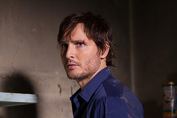 Peter Facinelli, Actor , Movies HD wallpaper