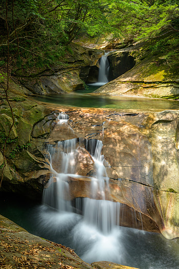 Landscape, Nature, Trees, Stones, Rocks, Waterfall HD phone wallpaper