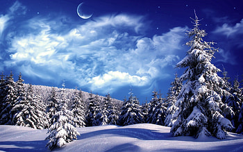 Nature, Trees, Sky, Clouds, Moon, Snow, Drifts, Ate HD wallpaper