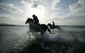 Sports, Horses, Sun, Silhouettes, Spray, Horseback Riding, Riding HD wallpaper