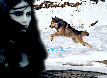 Snow hunt, white, wolf, snow, woman HD wallpaper