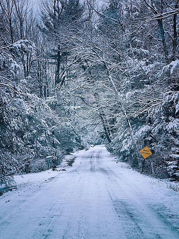 Winter, Nature, Trees, Snow, Road HD phone wallpaper