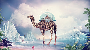 Animals, Fantasy, Giraffes HD wallpaper