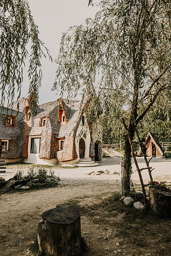 Trees, Architecture, Building, Miscellanea, Miscellaneous, House, Willow, And You HD phone wallpaper