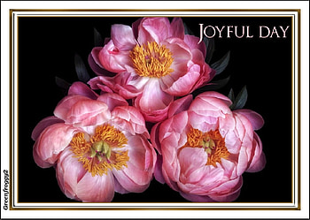 JOYFUL DAY, DAY, COMMENT, JOYFUL, CARD HD wallpaper