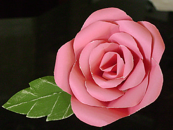 ROSE, LEAF, PETALS, COLORS, ABSTRACT HD wallpaper