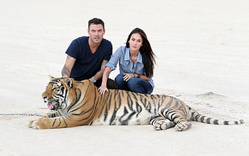 Megan,Brian, and a big cat, brian, man, big cat, beautiful, megan, actors, woman HD wallpaper