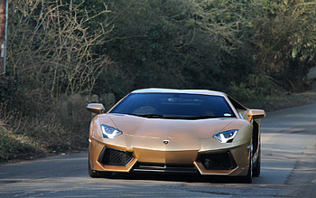 Trees, Lamborghini, Gold, Cars, Road, Front View, Golden, Aventador HD wallpaper