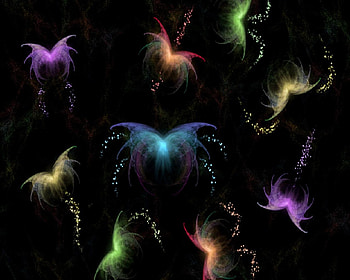Colorful Butterflies, reds, yellows, greens, blues HD wallpaper
