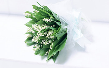 Plants, Flowers, Bouquets, Lily Of The Valley HD wallpaper