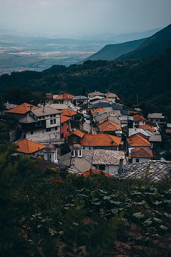 Nature, Grass, Building, Forest, Hills, Roof, Roofs HD phone wallpaper