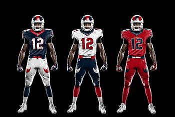 Houston Texans, NFL football, Sports , Team pride HD wallpaper