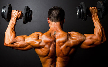 Weighs, Bodybuilding HD wallpaper