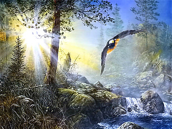 Wings in the mist, eagle, brook, flight, rocks, sunrise, sun rays, mist, trees, forest HD wallpaper