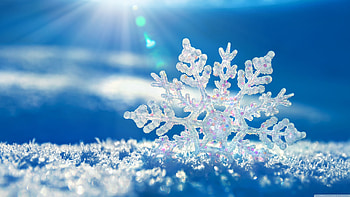 Snowflakes Background, winter, landscape, nature, snow, background HD wallpaper