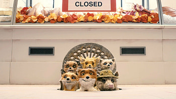 Fantastic Mr. Fox animation, Comedy adventure, Foxes , Whimsical storytelling HD wallpaper