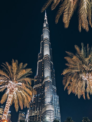 Cities, Architecture, Palms, Skyscraper, Building, Tower HD phone wallpaper