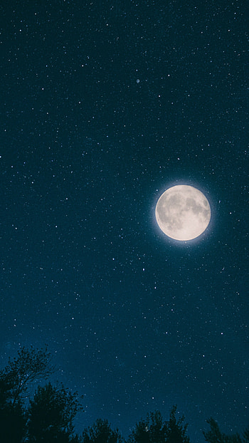 Moonlight, Night sky enchantment, Stars amidst forest, stock HD phone wallpaper