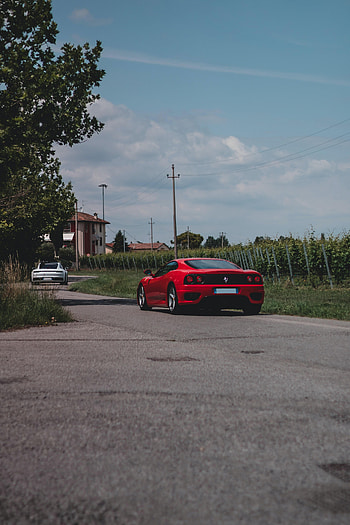 Sports, Mustang, Cars, Car, Machine, Sports Car, Back View, Rear View HD phone wallpaper