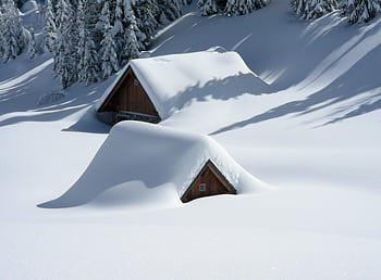 Peaceful snow-covered cabins nestled in a winter forest landscape. Ideal for seasonal and nature lovers. HD wallpaper