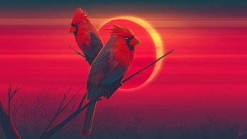 Northern cardinal, Birds HD wallpaper