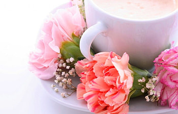Sweet morning, wallpper, color, new HD wallpaper