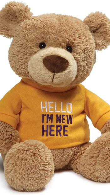 Teddy Bear Live, Adorable Toy HD phone wallpaper