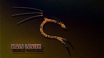 Kali Linux by DiFortis Kali Linux by DiFortis HD wallpaper