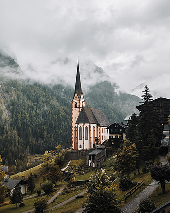 Architecture, Nature, Trees, Building, Forest, Fog, Tower HD phone wallpaper