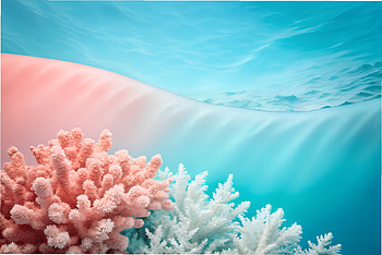 Coral pink left, sky blue right, divided by a smooth wave with a blank white center, sea, nature, landscape, pastel, flower HD wallpaper