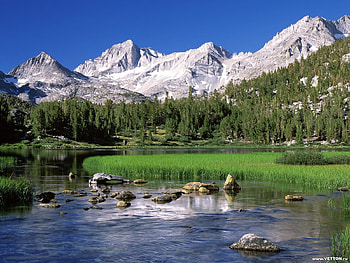 Landscape, Trees, Mountains HD wallpaper