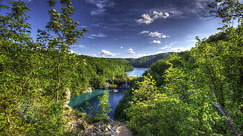 Plitvice Lakes National Park, Croatia, trees, water, forest, reflections, landscape HD wallpaper