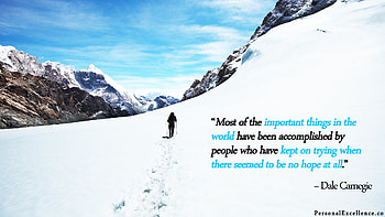 Popular Screensavers and - afari HD wallpaper
