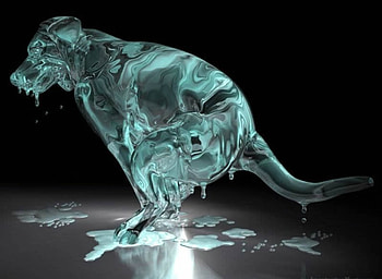 Frozen dog, dog, frozen HD wallpaper