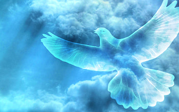 Rest , Relaxation, Calmness, Serenity HD wallpaper