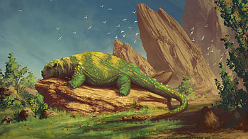 Art, Rock, Lies, Stone, Beast, Being, Creature, Asleep, Sleeps HD wallpaper