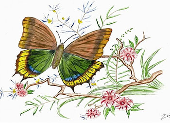 Winged Beauty, flowers, butterfly, art HD wallpaper